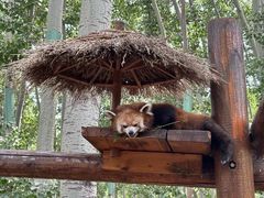 -北京野生动物园