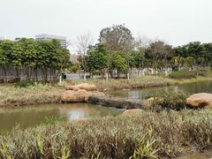 -琅岐红光湖公园