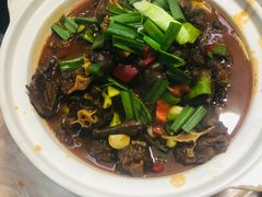 -龙小海荆沙鸽子店(瑞安街店)