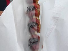 -糖葫芦王保定名吃(古莲花池店)