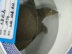 -邑家人·山水四合院