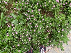 -融园咖啡馆(昙华林店)