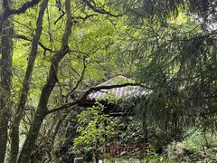 -西岭雪山大飞水景区