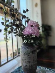 -梦白空间瑜伽馆