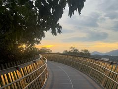 -福道