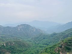 -大岭沟猕猴桃谷风景区