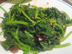 -大榕树下顺德菜(融创茂店)