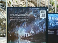 -波斯托伊纳溶洞