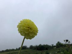 -鳌山滑雪度假区