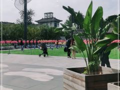 -The Rug Cafe(王府中环店)