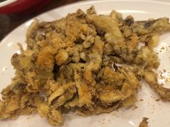 干炸蘑菇-晋B2008刀削面(小南庄店)