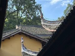 -缙云山景区