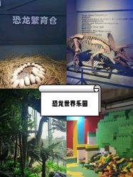 -恐龙探索乐园(磁器口店)