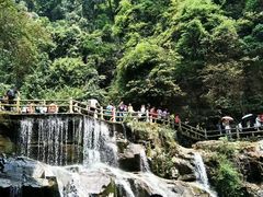 -鼎湖山风景区