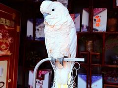 -四海楼(如皋定慧禅寺店)