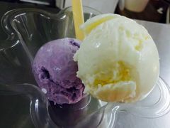 -成裕雪糕店(士多店)
