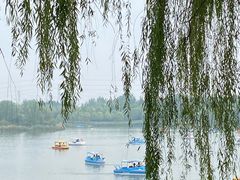 -南海子公园