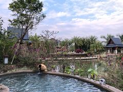 -水底山庄园温泉