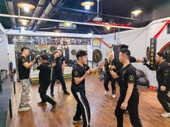 -温鉴良实用咏春拳