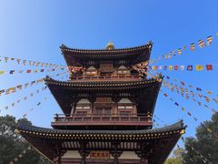 -庐山风景名胜区-东林大佛