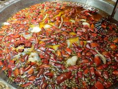 -雲蜀龙阁·金牌水煮鱼(方庄店)