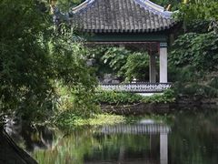 -叶家花园
