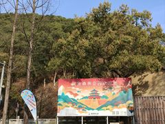 -黄贤森林公园