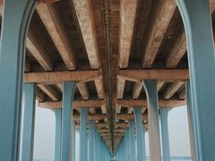 -宝安西湾红树林湿地公园