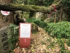 -绮园景区
