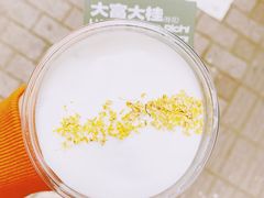 -村口大树(长乐路店)