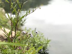 -泽雅七瀑涧景区