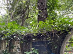 -中国科学院西双版纳热带植物园