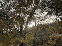 -北京西山国家森林公园