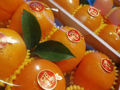 -雨露空间(嘉善施家店)