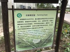 -上海都市菜园