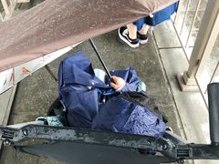 -海底巡游艇:尼莫和好友的海洋世界