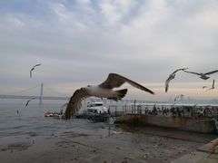-星海广场