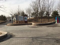 -东郊湿地公园