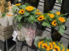 -盒马鲜生(王府广场店)