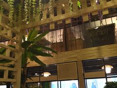 -四季合味椰子鸡(南山大冲店)