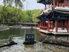 -百脉泉景区