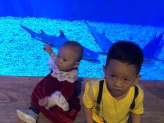 -华夏文旅海洋公园