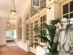 -Long Bar(莱佛士酒店)