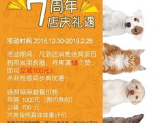 -乐派堂宠物医院·猫友好· 心脏科(东街店)