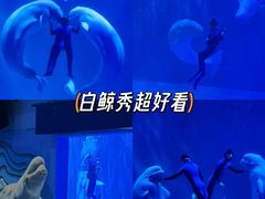 -哈尔滨极地公园