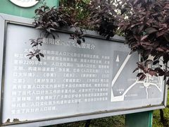 -太阳宫公园