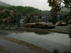 -白马涧龙池景区
