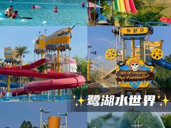 -美的鹭湖森林度假区