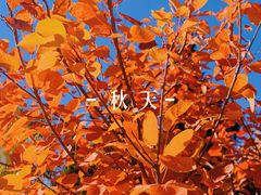 -永定河休闲森林公园