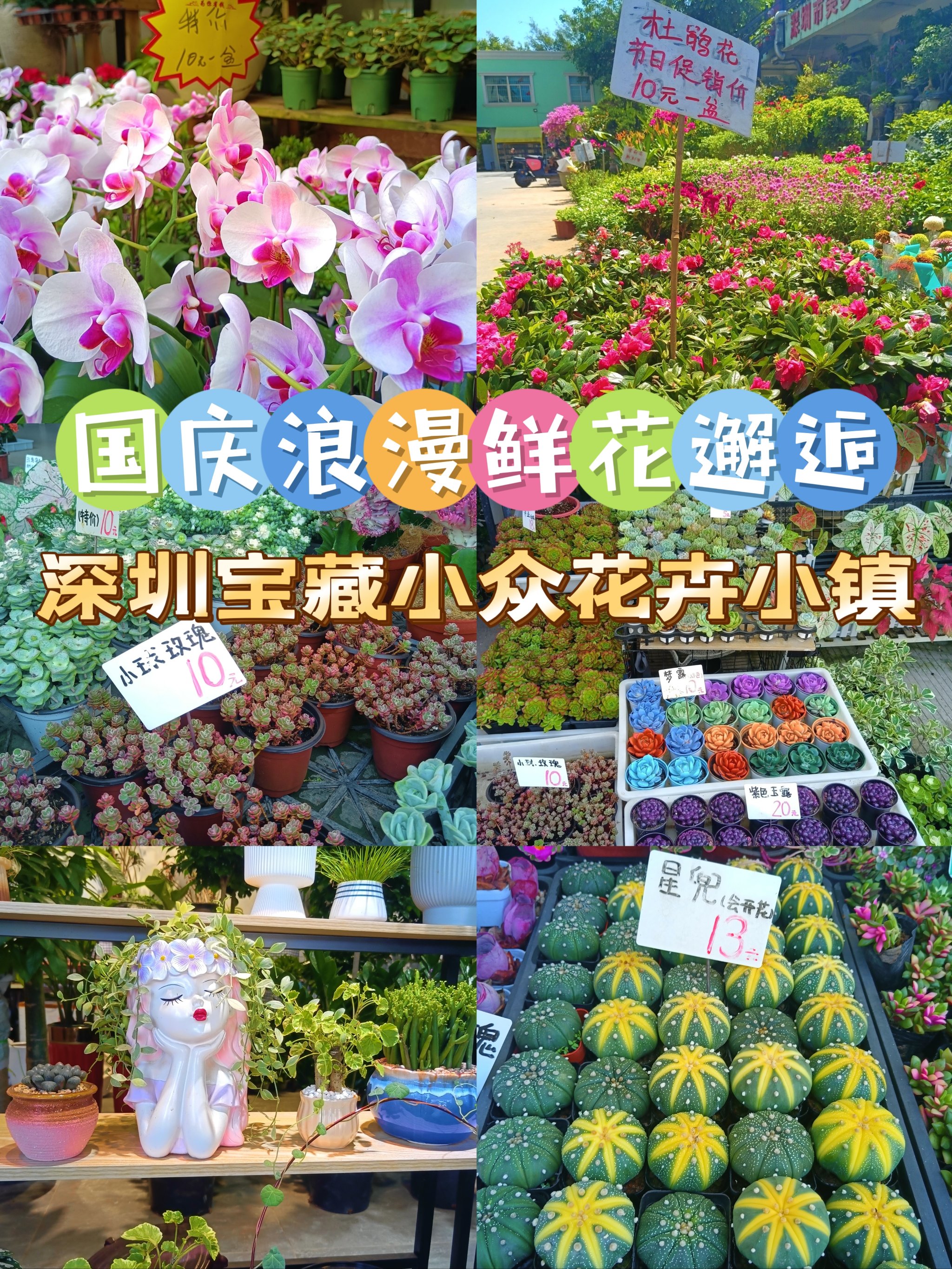 鲜花小镇插花攻略图片